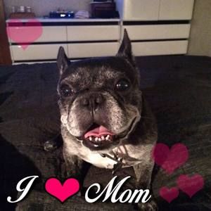 Meet your Posher, Kellie